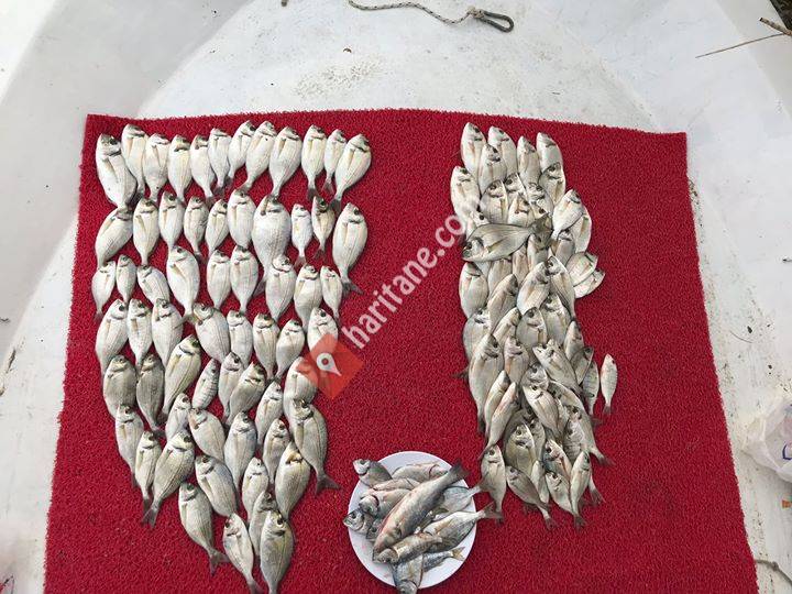 Dalyan Balık Avı Turları