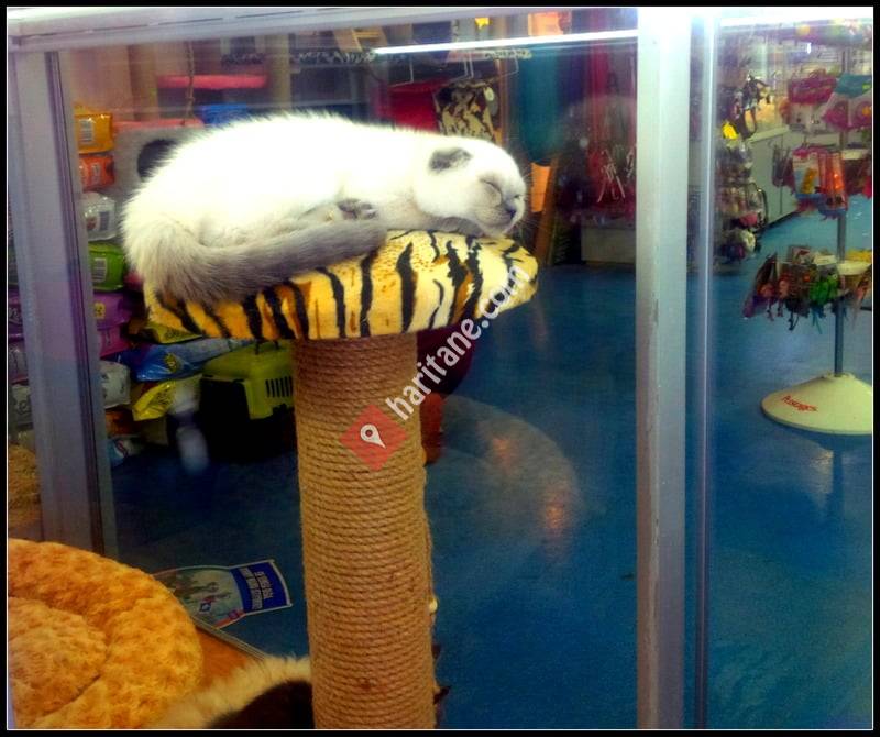Deniz Akvaryum & Pet Shop
