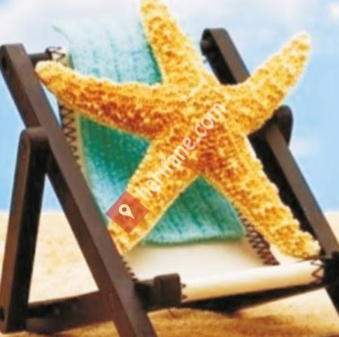 deniz yıldızı halı yıkama