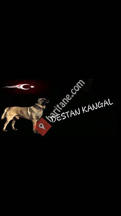 Destan Kangal