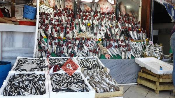 Dicle Fırat Balık Market