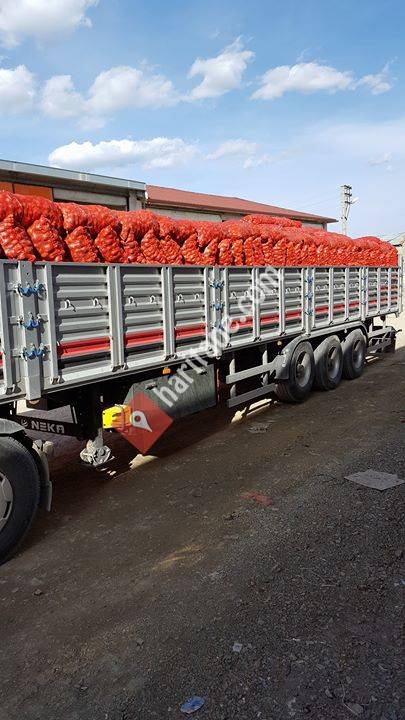 Doğanlar Ticaret Tarım Ürünleri Ltd.Şti
