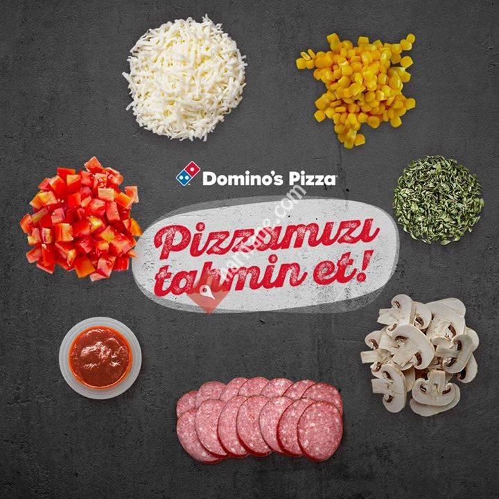 Domino's Pizza Gelibolu