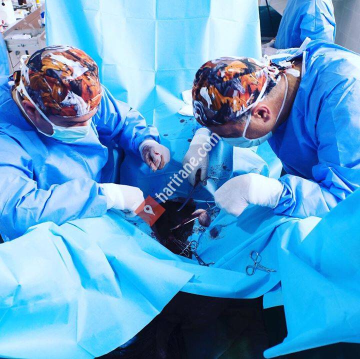 Dörtnal Veteriner Kliniği