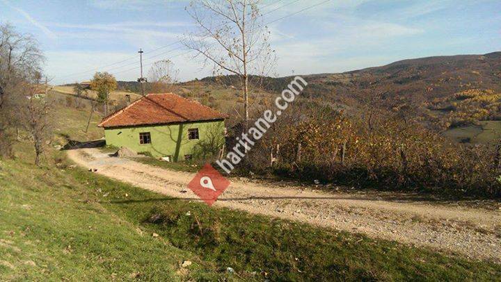 Eflani Bağlıca Köyü Çelebioğlu Mahallesi