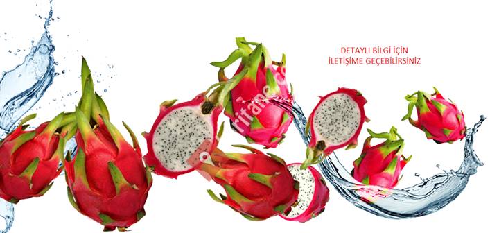Ejder Meyvesi / Dragon Fruit - Mersin