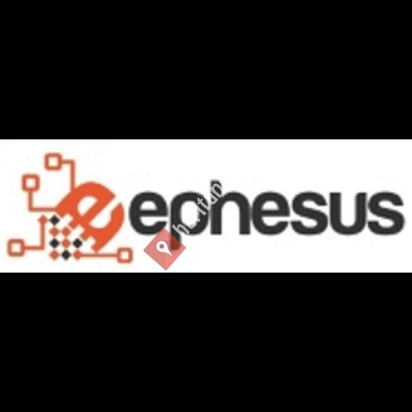 Ephesus Yazılım ve Danışmanlık Hizmetleri Logo ve Netsis Yazılım Çözüm Ortagı