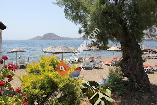 Eray Bartan Web Design