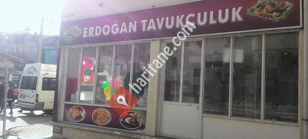 Erdoğan Tavukçuluk