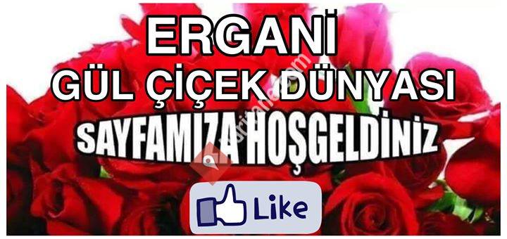 Ergani Gül Çiçek Dünyası ve organizasyon