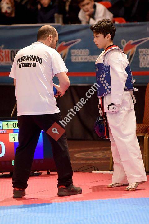 ERKAN ERCAN KORYO Taekwondo