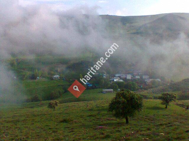 Erzurum Aşkale Tokça Köyü - SOS