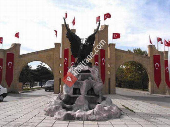 Erzurum Hınıs meslek yüksek okulu Girişliler