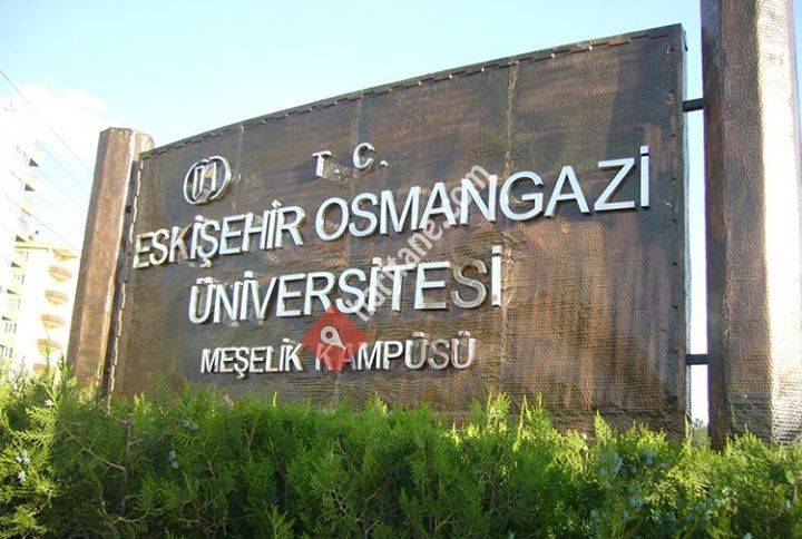 Eskişehir Osmangazi Üniversitesi Mezunları