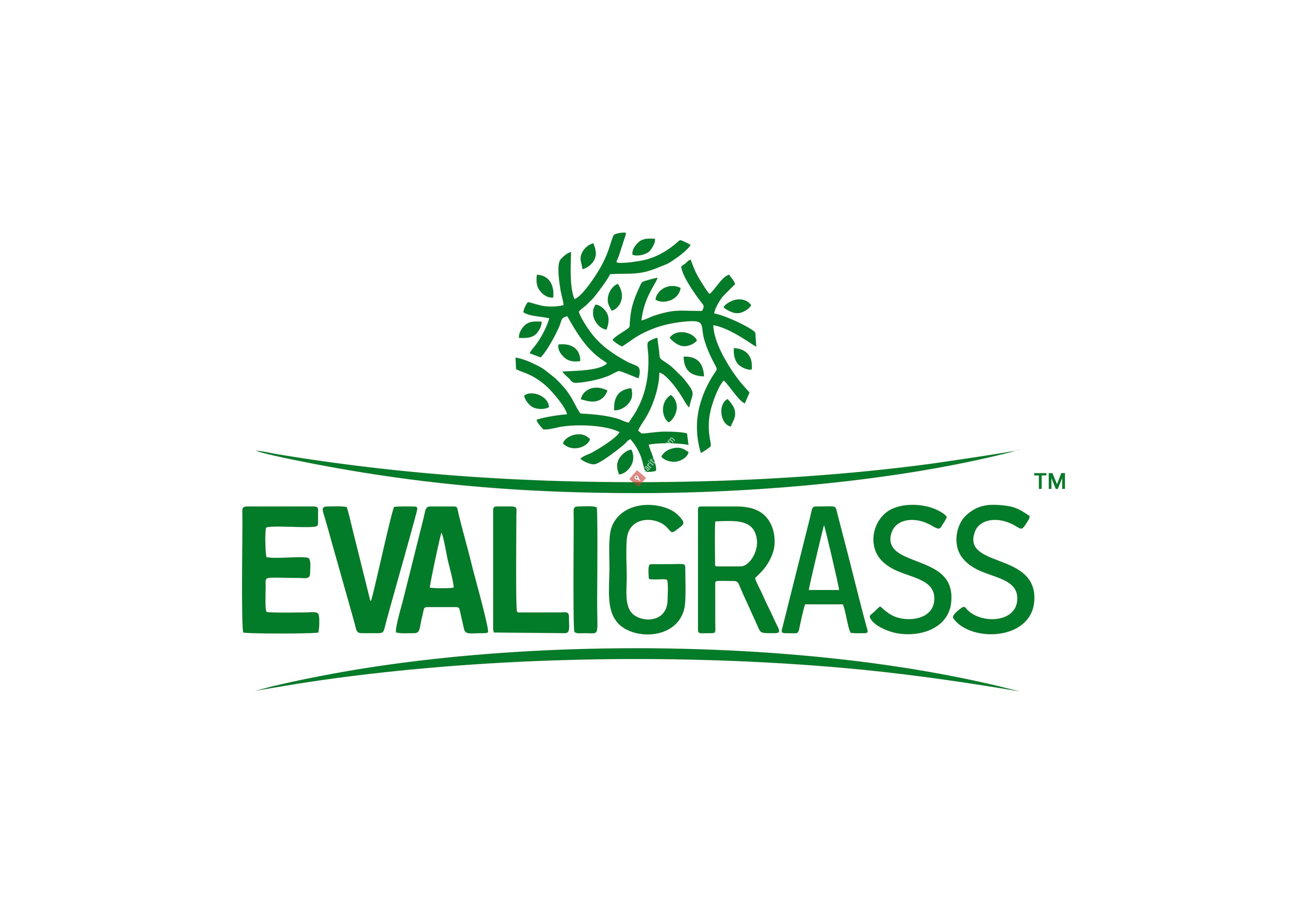 Evaligrass – Grass Fence Manufacturer