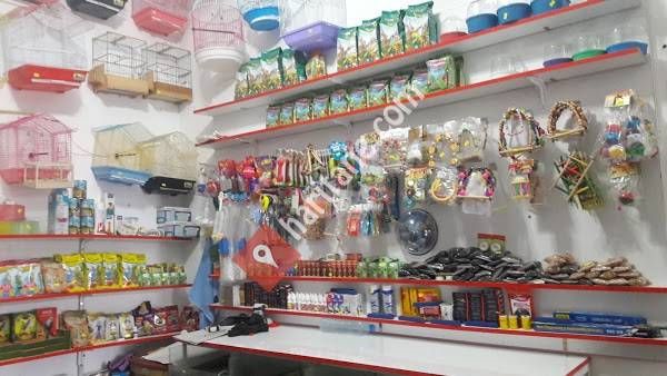 Evcil Petshop Bucak