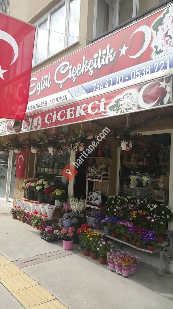 Eylül Çiçekçilik