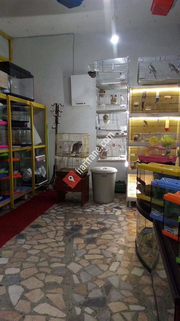 Fatih Pet Shop