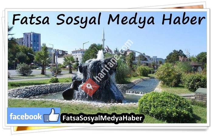 Fatsa Sosyal Medya Haber