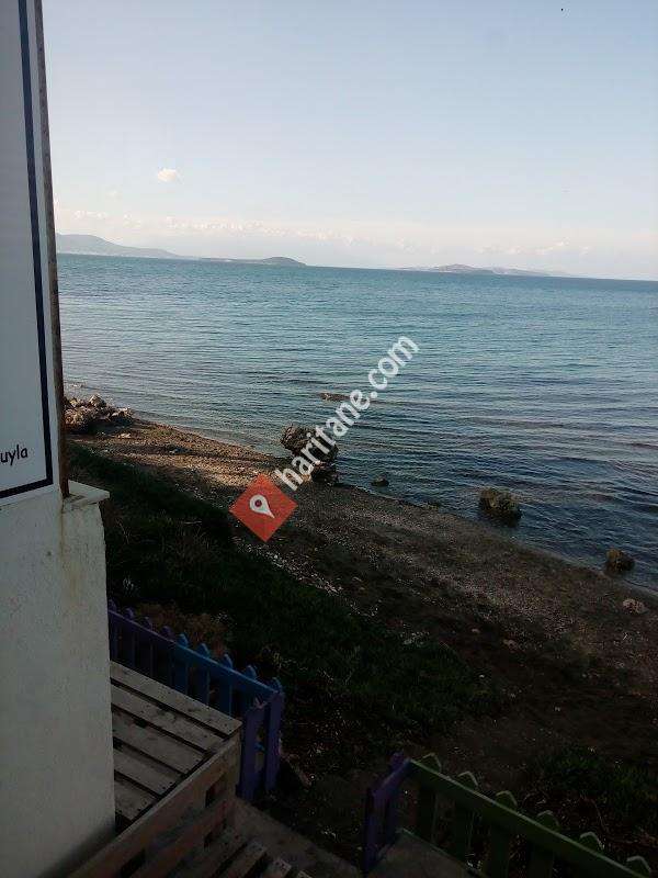 Filika Balık ve Meze Evi