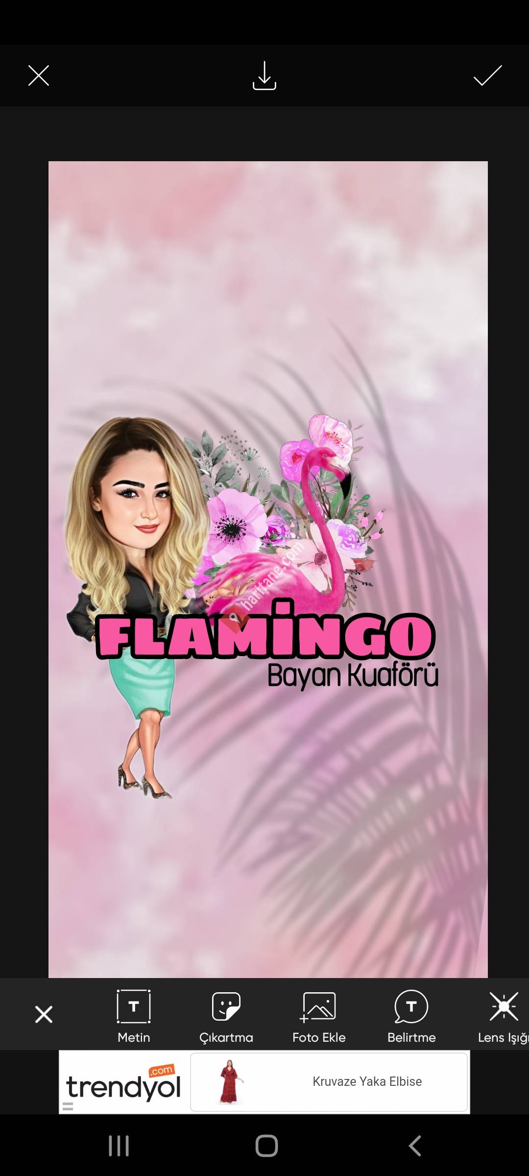 Flamingo Bayan Kuaförü Soma 