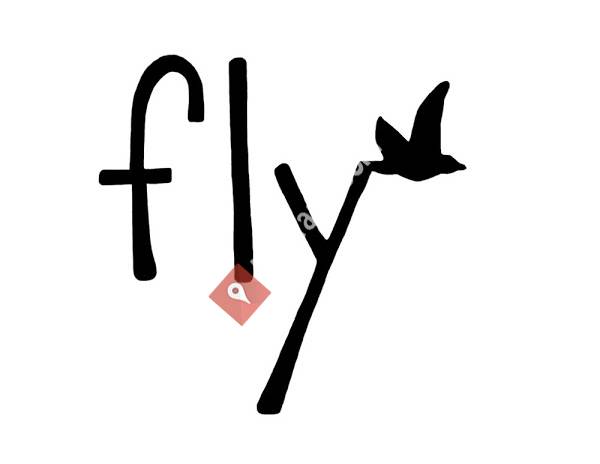 flycar