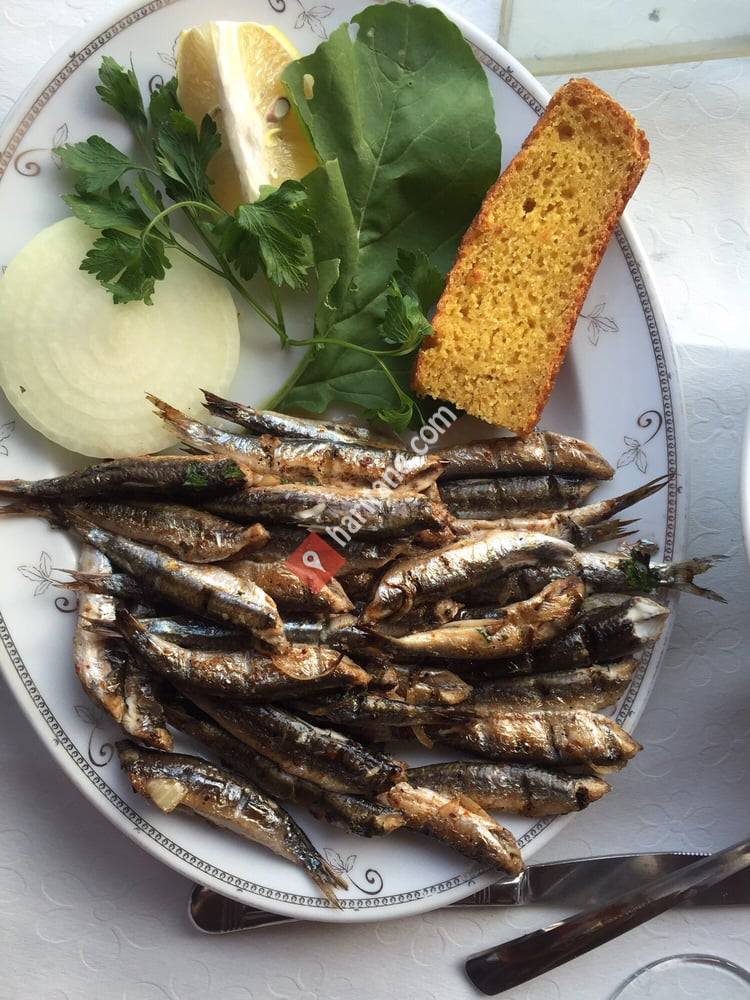 Gerze Yalı Balık Evi Köşk Mah.