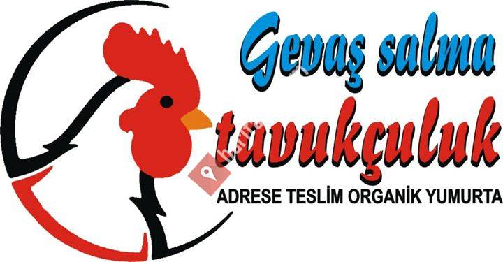Gevaş Salma Tavukçuluk