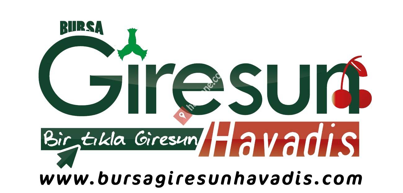 Bursa Giresun Havadis