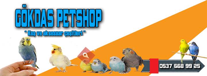 Gökdaş Petshop