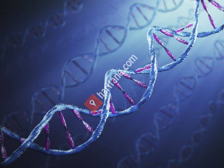 GTÜ Moleküler Biyoloji ve Genetik