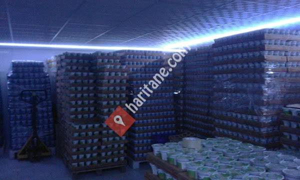 Gülsene Toptan Gıda