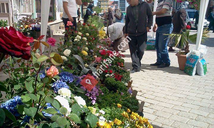 Gündüz Çiçekçilik & Organizasyon