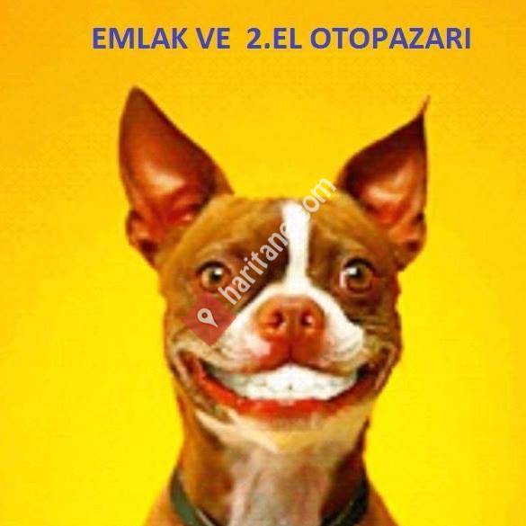 Güneydoğu Sahibinden Emlak ve 2 El Oto Alım Satım