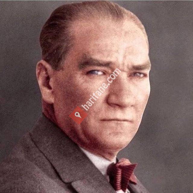Gürsoy Yapı & İç Mimarlık