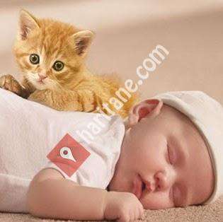 guzelyali hali yikama pendik