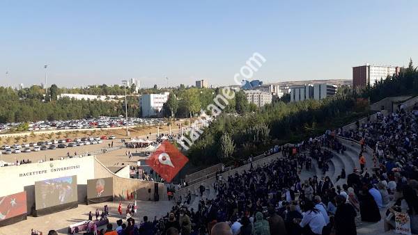 Hacettepe Üniversitesi