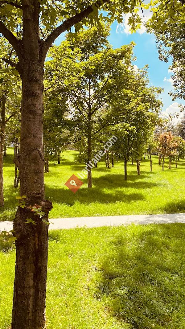 Hacettepe Üniversitesi Beytepe Yerleşkesi