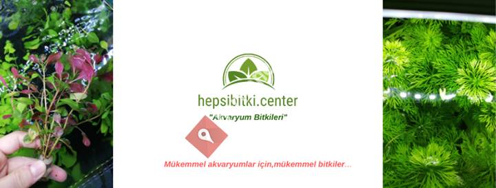 Hepsibitki Center