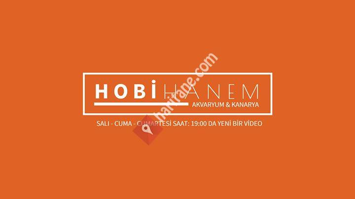 Hobihanem - Youtube