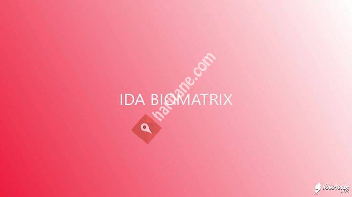 IDA Biomatrix Energie Healing