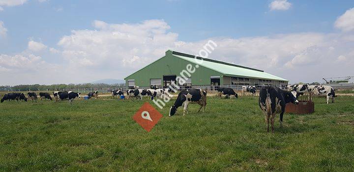 Ideal Hayvan Sağlığı Teknolojileri