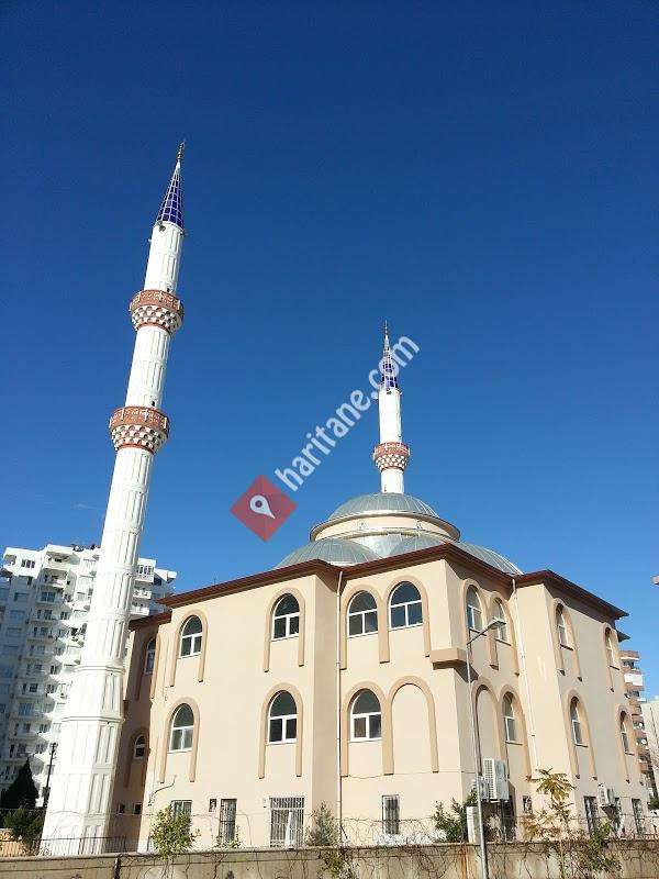 İSMAİL FETANE ŞAHİN CAMİİ