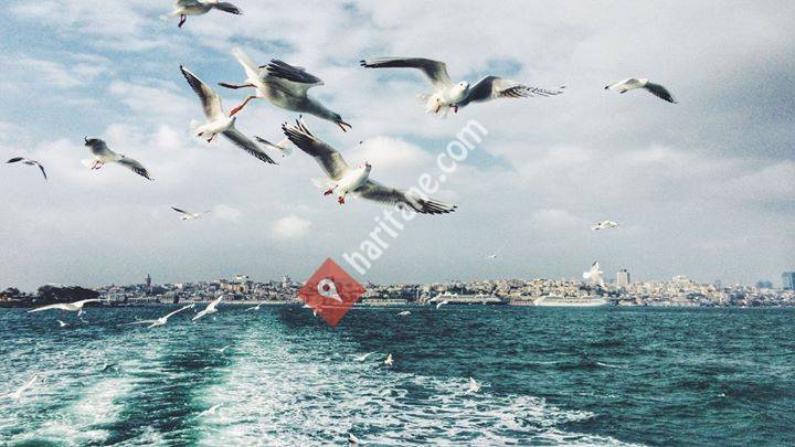İstanbul'da Yapılacak 999 Şey