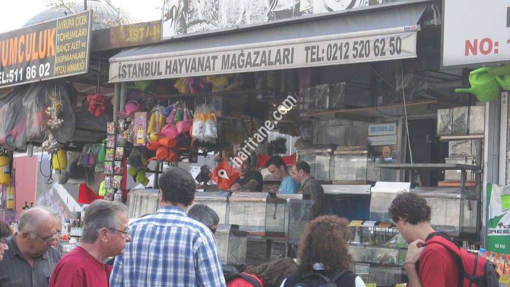 İstanbul Hayvanat Mağazaları