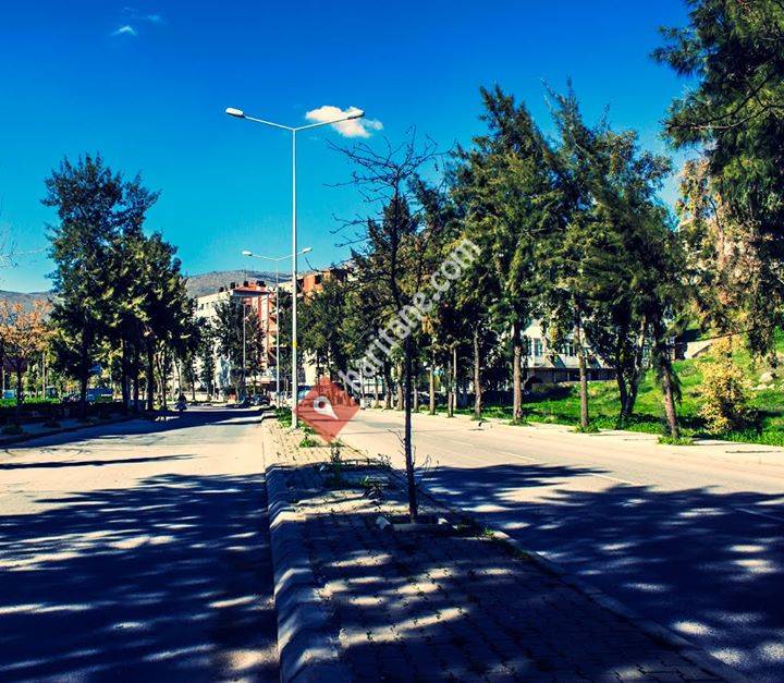 İzmir-Bornova-Osmangazi Mahallesi