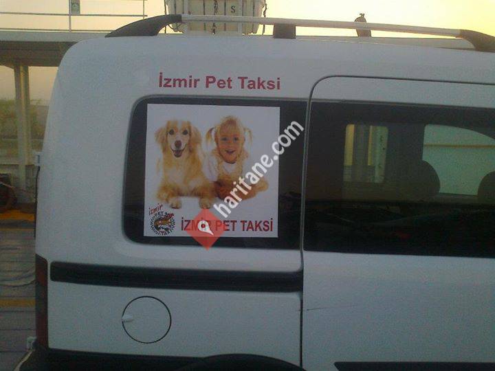 İzmir Pet Taksi