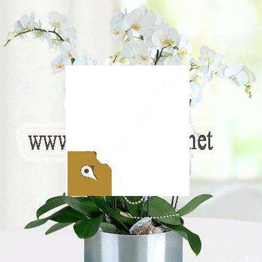 İZMİT ÇİÇEKÇİLİK-izmit çiçek, kocaeli çiçek, kocaeli çiçekçi.