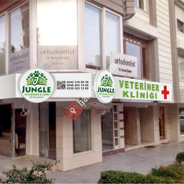 Jungle veteriner kliniği