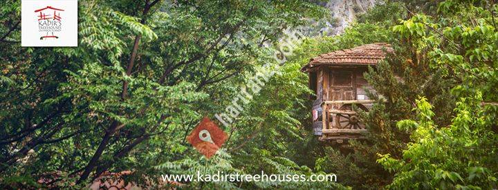 Kadirs Tree Houses Olympos